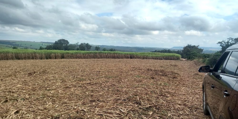 WhatsApp Image 2024-06-17 at 11.58.51 (1)