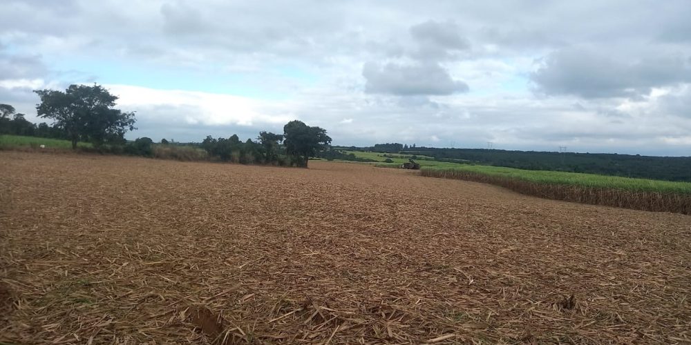 WhatsApp Image 2024-06-17 at 11.58.51