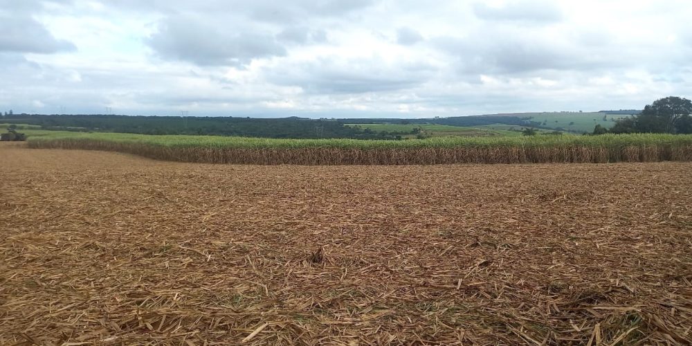 WhatsApp Image 2024-06-17 at 11.58.52 (1)