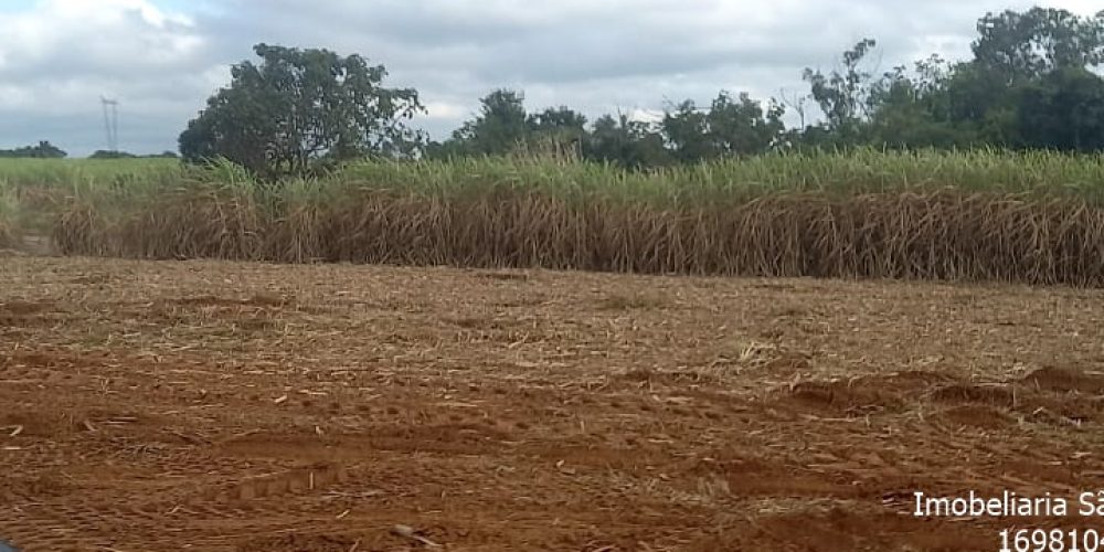 WhatsApp Image 2024-06-17 at 11.58.52 (2)