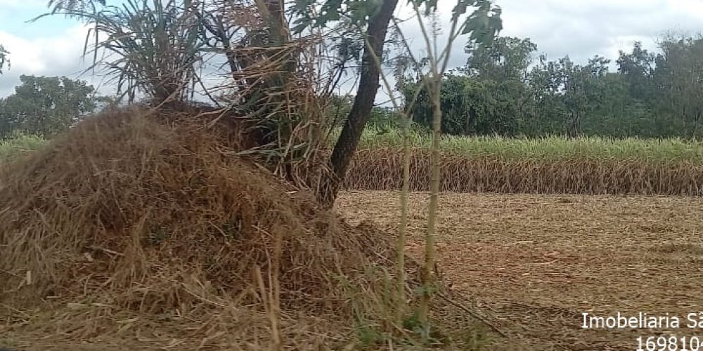 WhatsApp Image 2024-06-17 at 11.58.53