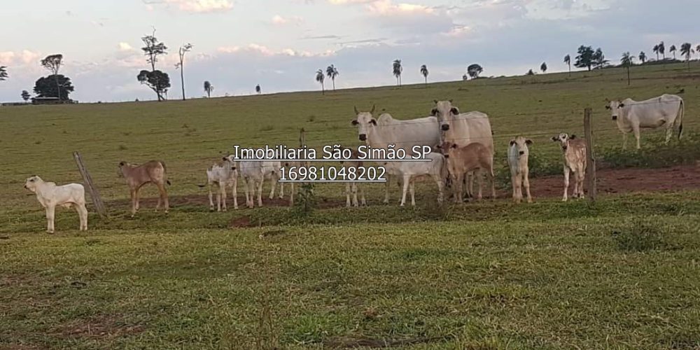 WhatsApp Image 2024-07-09 at 14.44.24 (1)