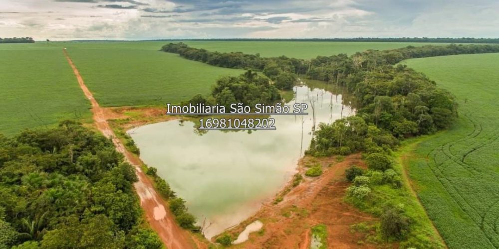 WhatsApp Image 2024-07-09 at 14.44.24