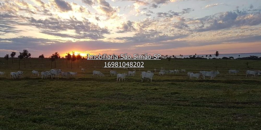 WhatsApp Image 2024-07-09 at 14.44.26