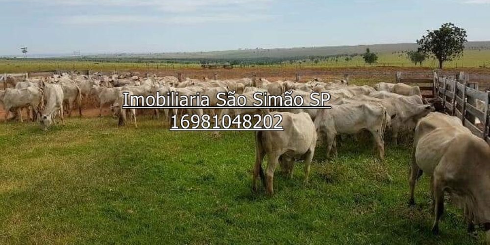 WhatsApp Image 2024-07-09 at 14.44.27 (1)