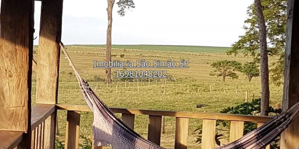 WhatsApp Image 2024-07-09 at 14.44.29