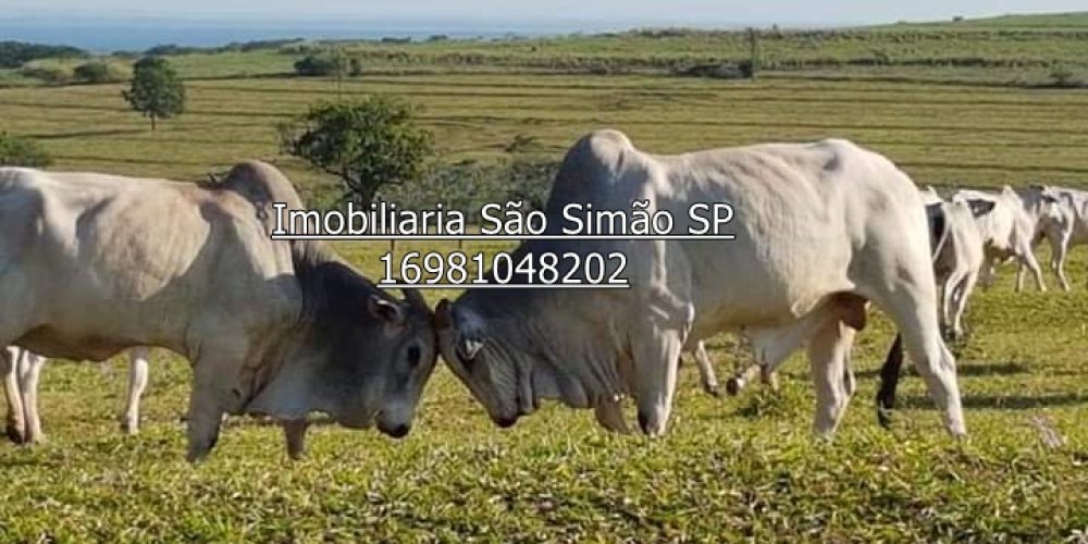 WhatsApp Image 2024-07-09 at 14.44.30 (2)