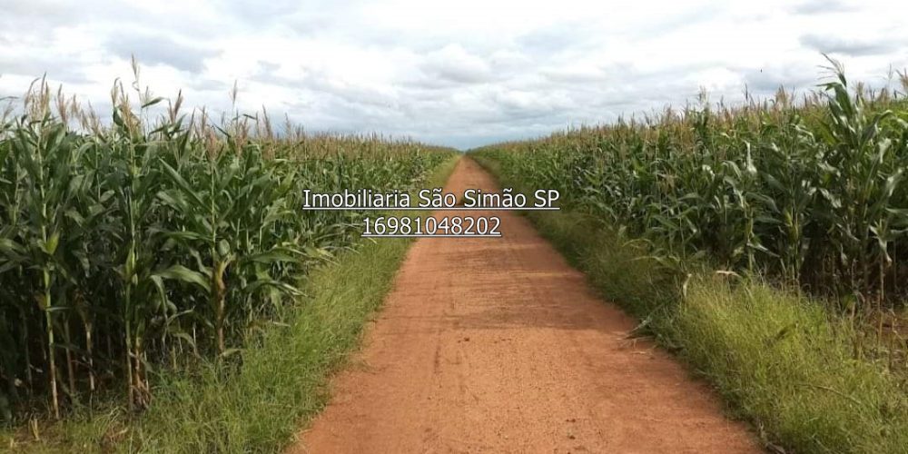 WhatsApp Image 2024-07-09 at 14.44.30