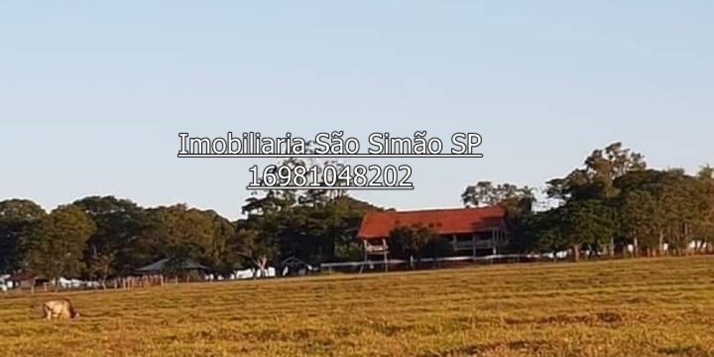 WhatsApp Image 2024-07-09 at 14.44.31 (1)