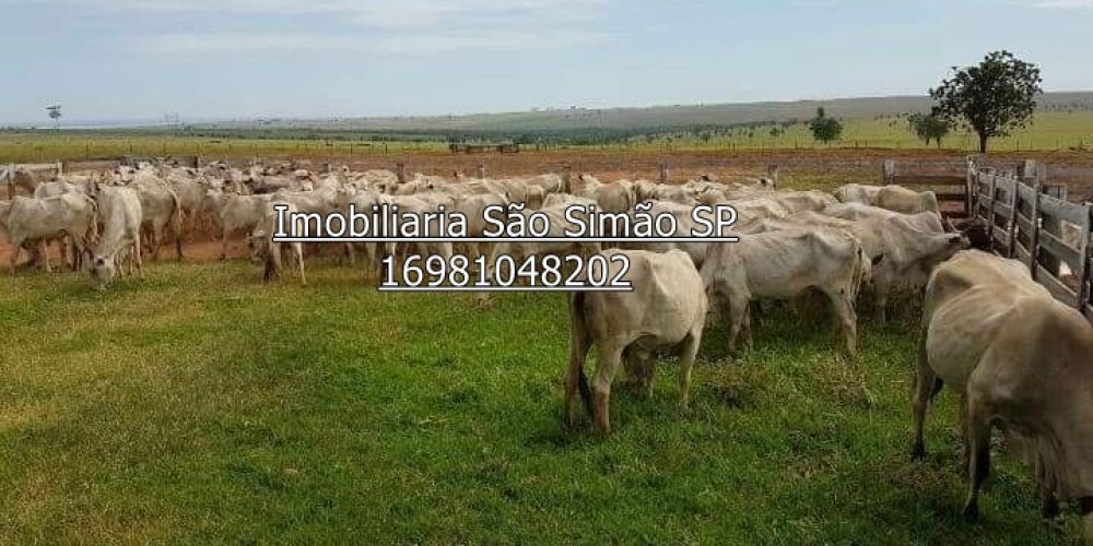 WhatsApp Image 2024-07-09 at 14.44.31 (2)