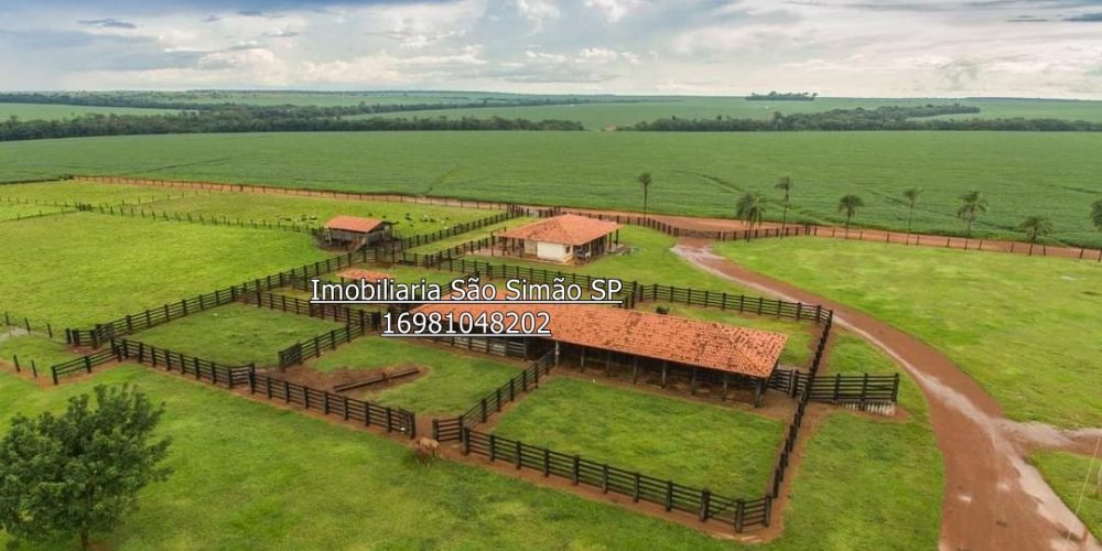 WhatsApp Image 2024-07-09 at 14.44.39