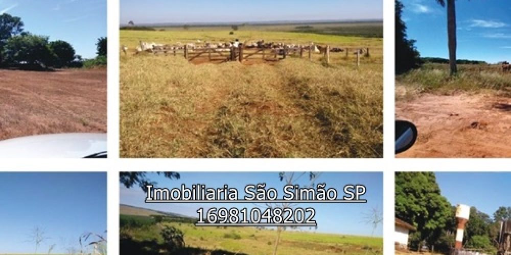 WhatsApp Image 2024-07-11 at 13.46.55 (10) - Copia