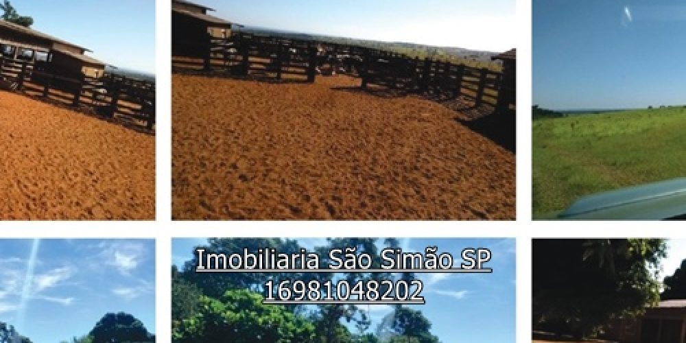 WhatsApp Image 2024-07-11 at 13.46.55 (14) - Copia