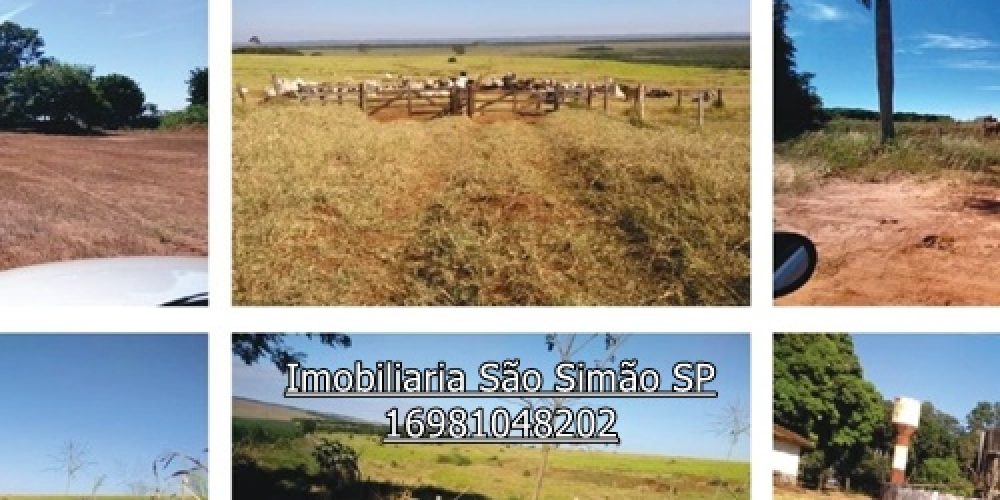 WhatsApp Image 2024-07-11 at 13.46.55 (15) - Copia