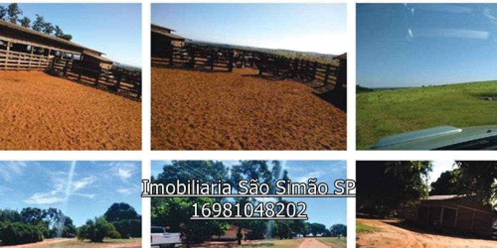 WhatsApp Image 2024-07-11 at 13.46.55 (5) - Copia