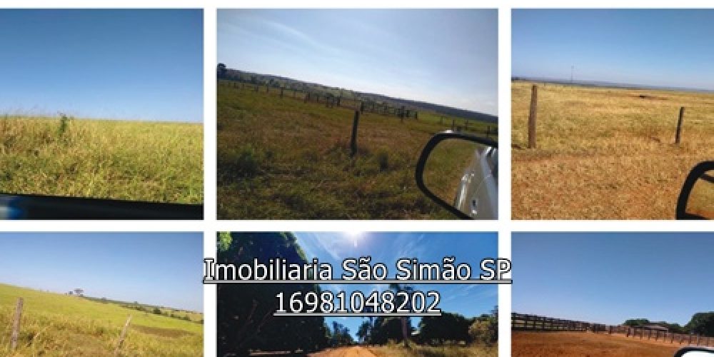 WhatsApp Image 2024-07-11 at 13.46.55 (7) - Copia