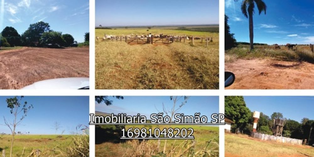 WhatsApp Image 2024-07-11 at 13.46.55 (9) - Copia