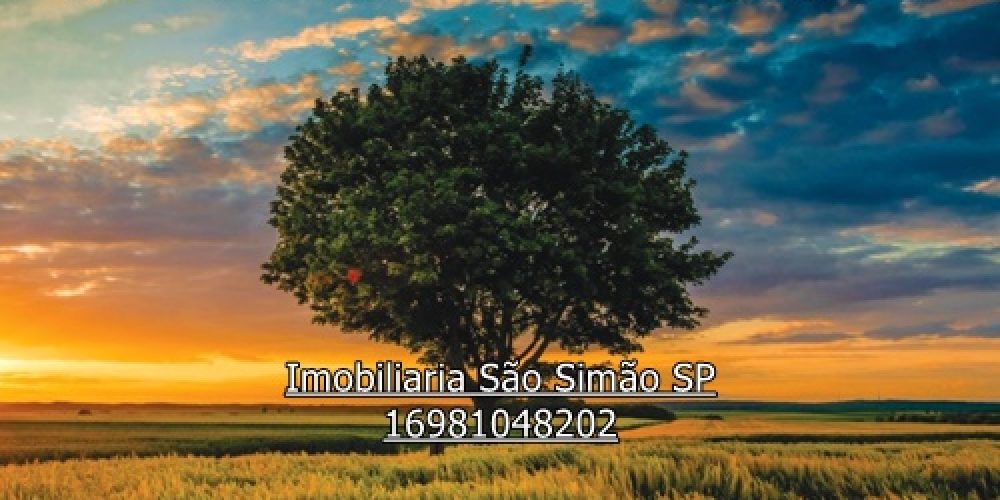 WhatsApp Image 2024-07-11 at 13.46.55 - Copia (2)