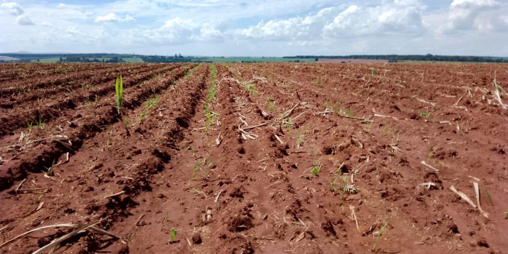 WhatsApp Image 2024-08-01 at 18.19.31 (2)