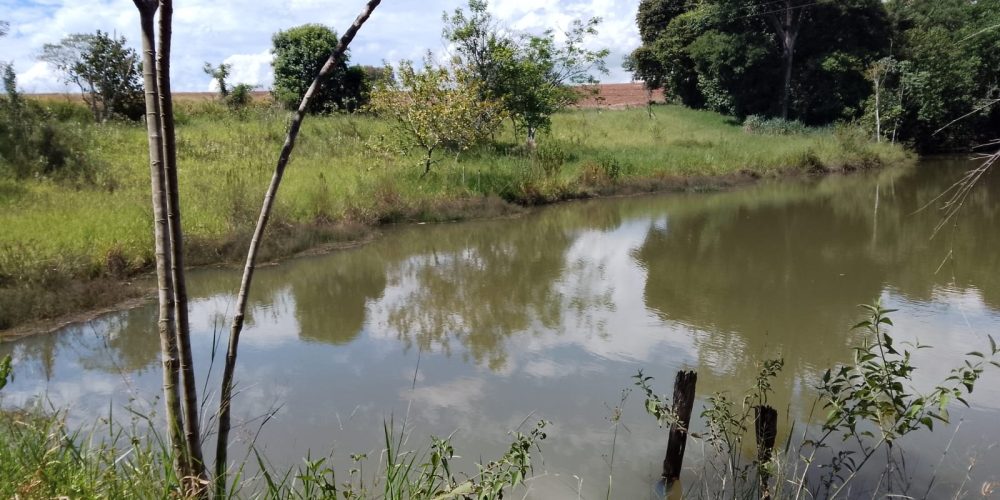 WhatsApp Image 2024-08-01 at 18.19.32 (3)