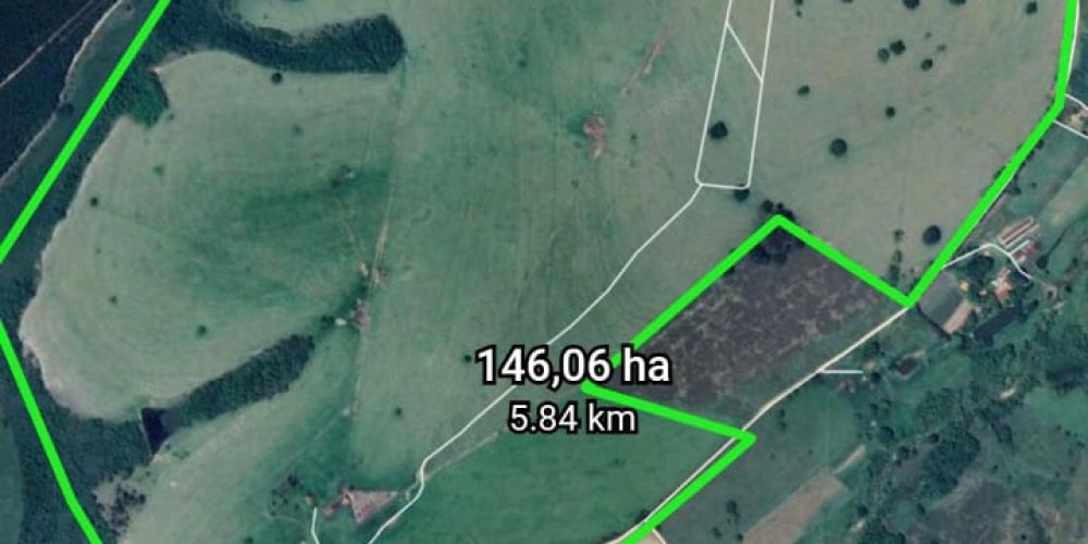 WhatsApp Image 2024-08-01 at 18.23.41