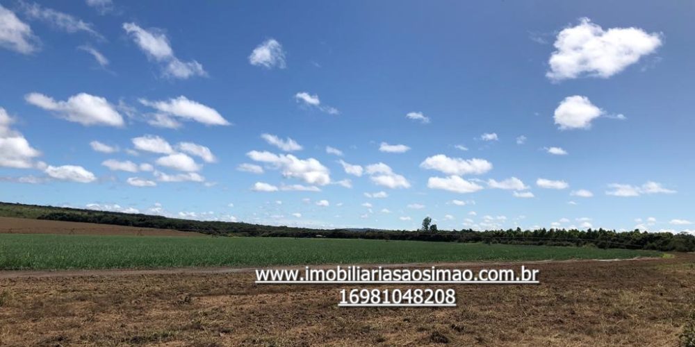 WhatsApp Image 2024-08-13 at 14.51.23 (1)