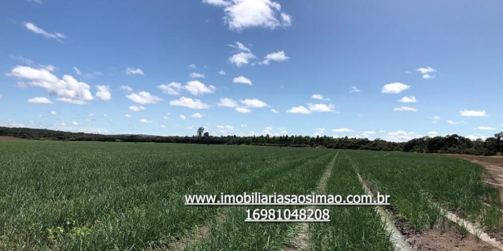 WhatsApp Image 2024-08-13 at 14.51.23 (2)