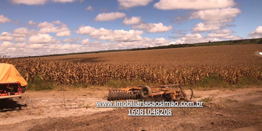 WhatsApp Image 2024-08-13 at 14.51.24