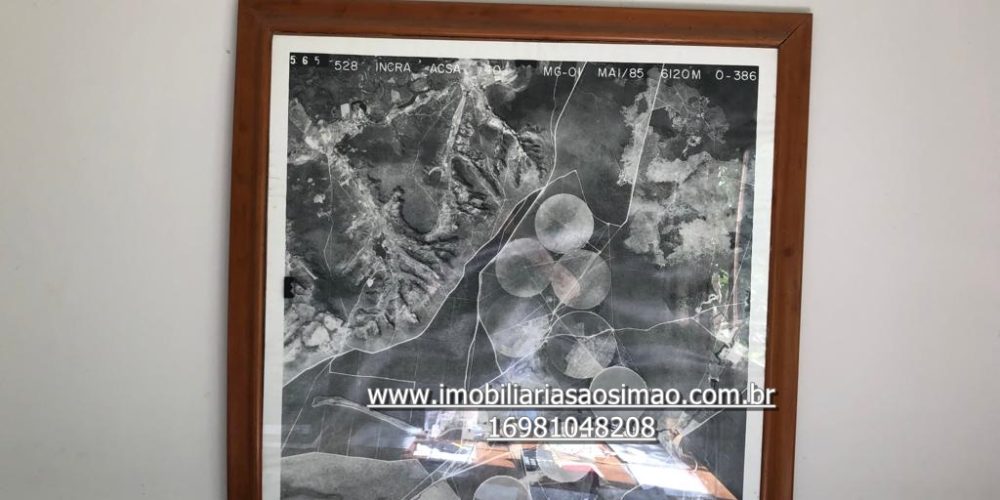 WhatsApp Image 2024-08-13 at 14.51.25