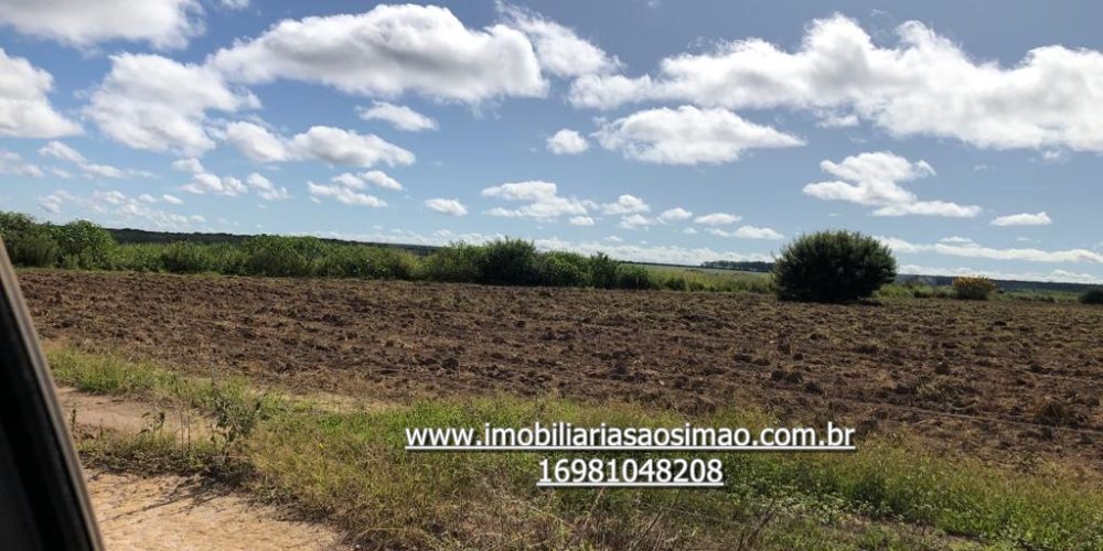 WhatsApp Image 2024-08-13 at 14.51.26 (1)