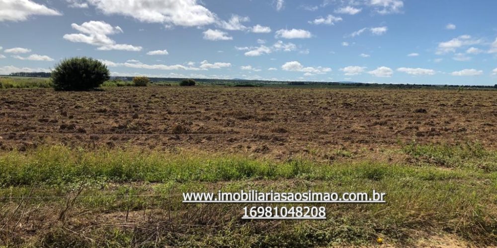 WhatsApp Image 2024-08-13 at 14.51.26