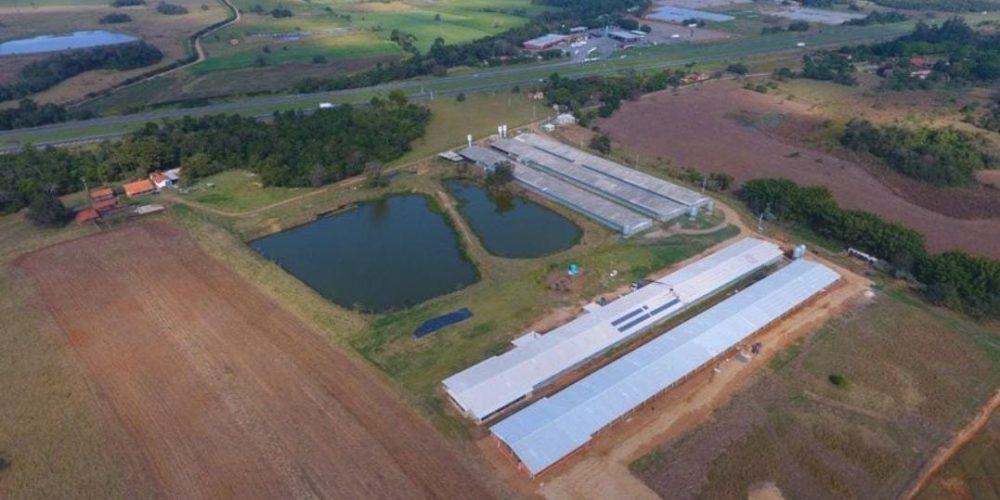 WhatsApp Image 2024-09-03 at 14.41.32