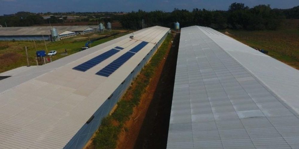 WhatsApp Image 2024-09-03 at 14.41.33 (1)