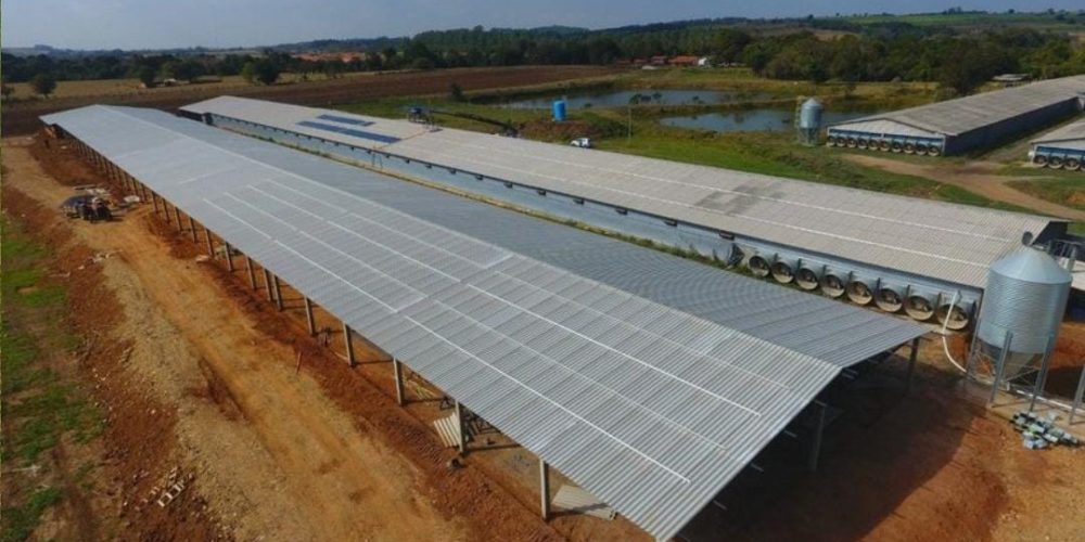 WhatsApp Image 2024-09-03 at 14.41.33 (2)