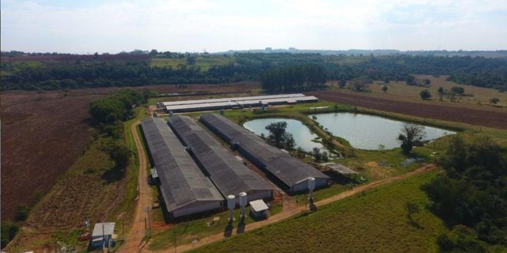 WhatsApp Image 2024-09-03 at 14.41.33 (3)