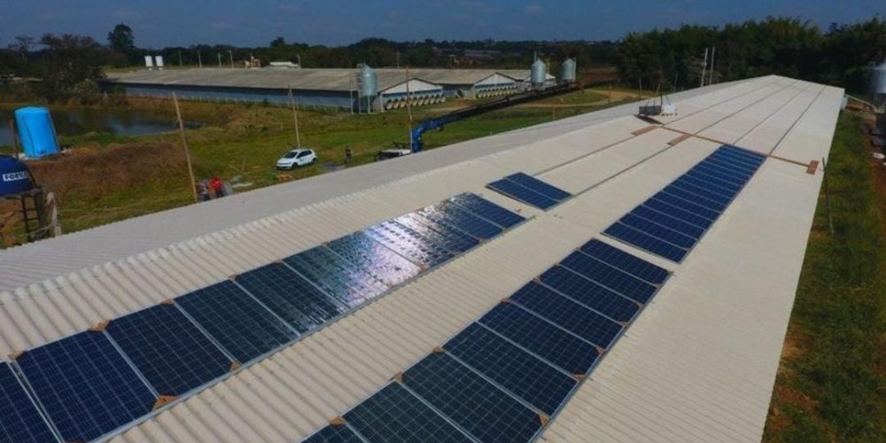 WhatsApp Image 2024-09-03 at 14.41.33