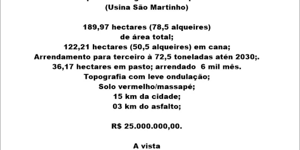 WhatsApp Image 2024-09-03 at 15.47.09