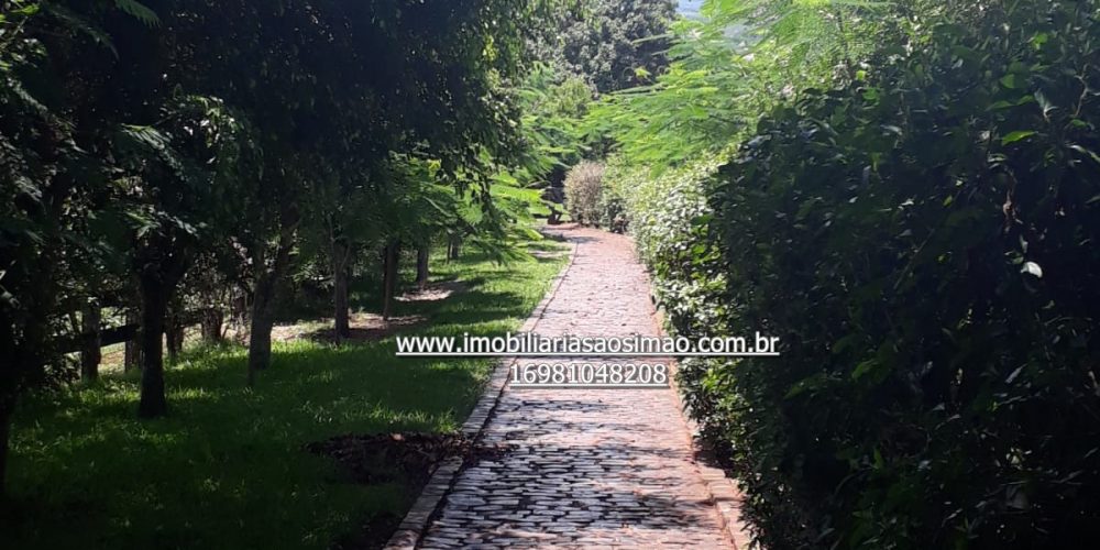 WhatsApp Image 2024-09-05 at 14.03.47 (1)