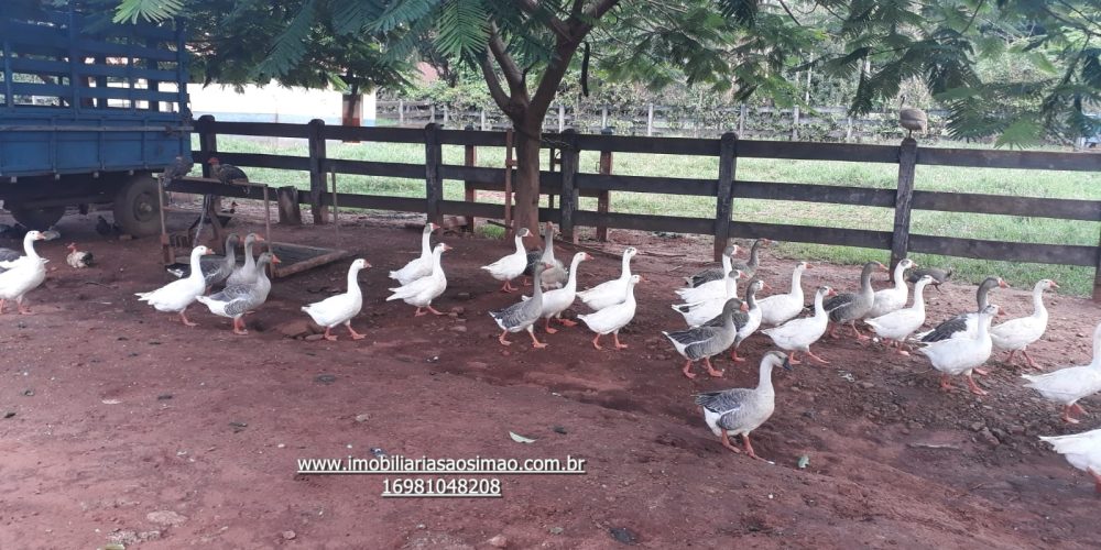 WhatsApp Image 2024-09-05 at 14.03.58 (1)