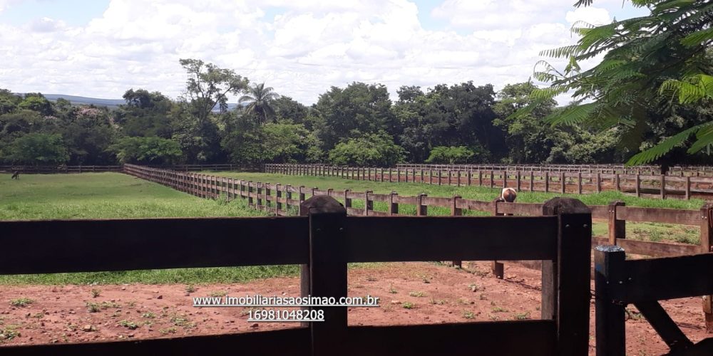 WhatsApp Image 2024-09-05 at 14.03.59