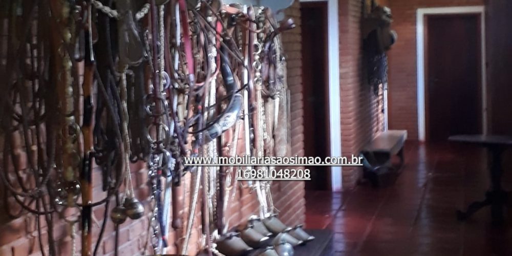 WhatsApp Image 2024-09-05 at 14.04.06