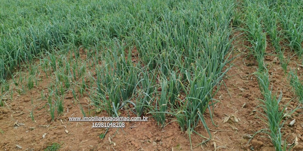 WhatsApp Image 2024-09-17 at 13.02.47