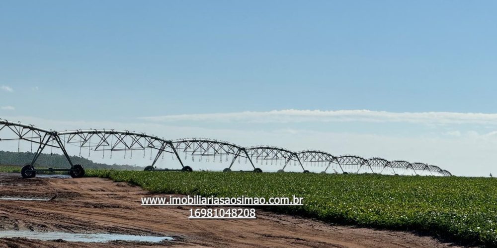 WhatsApp Image 2024-09-17 at 14.45.38