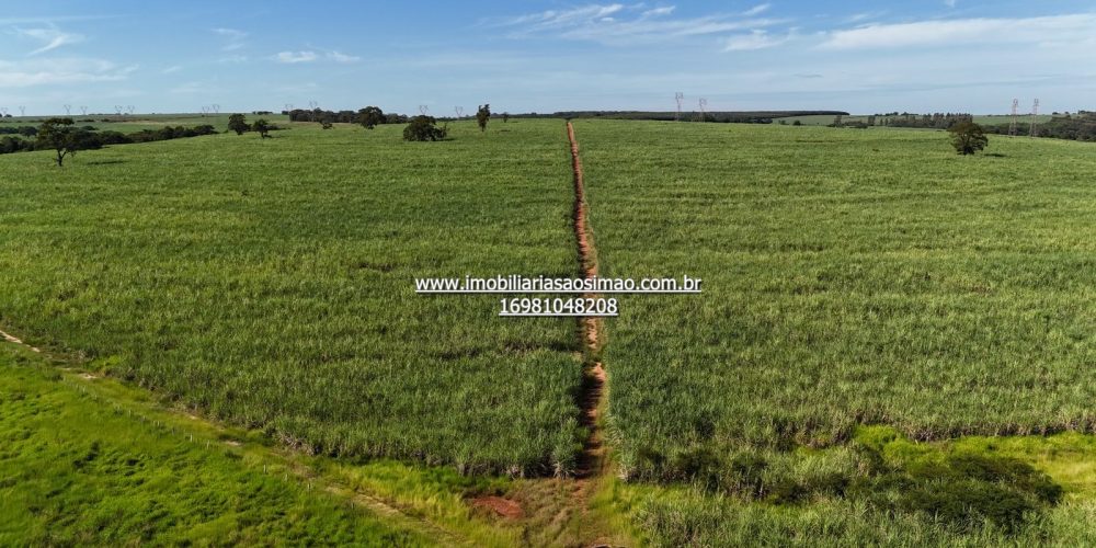 WhatsApp Image 2024-09-18 at 21.08.44