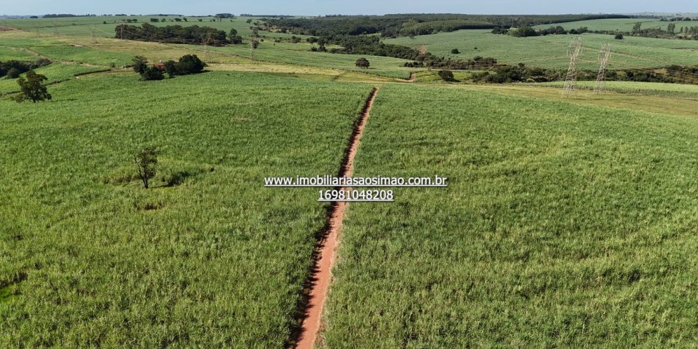 WhatsApp Image 2024-09-18 at 21.08.45 (1)