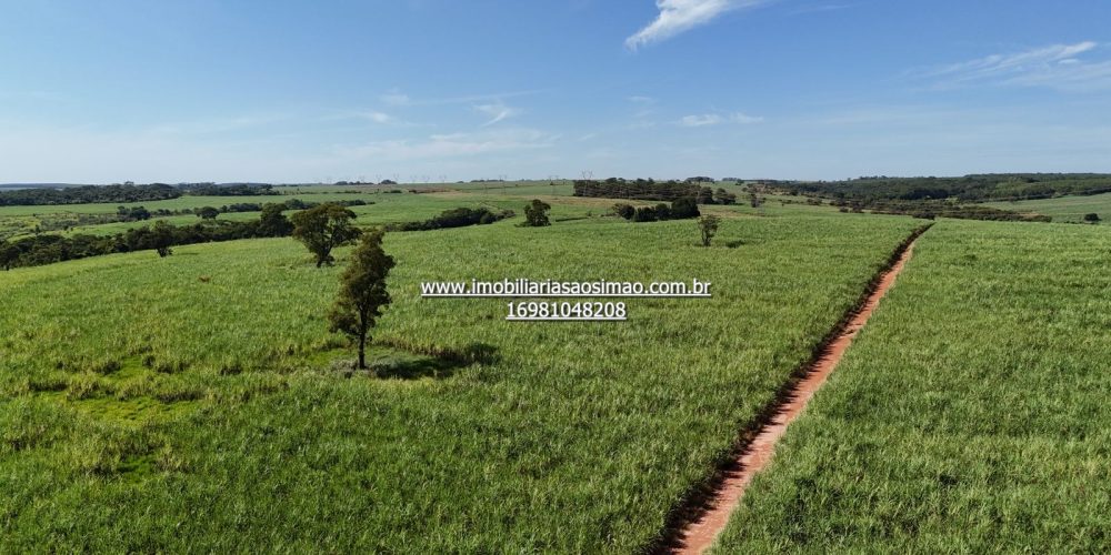 WhatsApp Image 2024-09-18 at 21.08.45