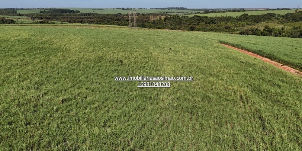 WhatsApp Image 2024-09-18 at 21.08.46