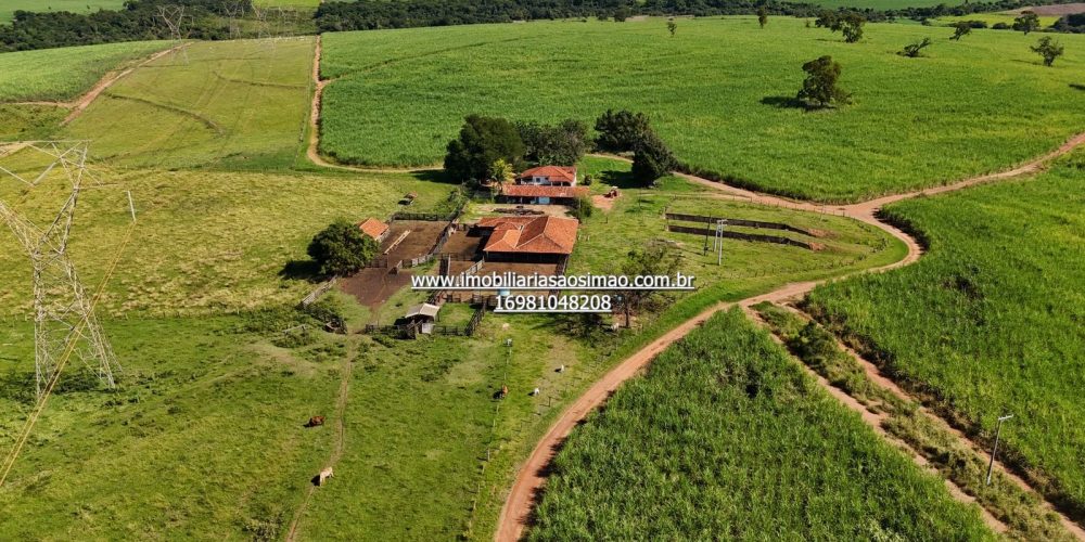 WhatsApp Image 2024-09-18 at 21.08.47 (1)