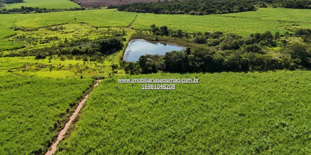 WhatsApp Image 2024-09-18 at 21.08.47