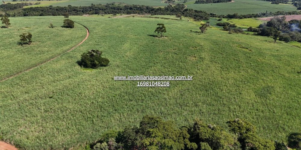 WhatsApp Image 2024-09-18 at 21.08.49 (1)